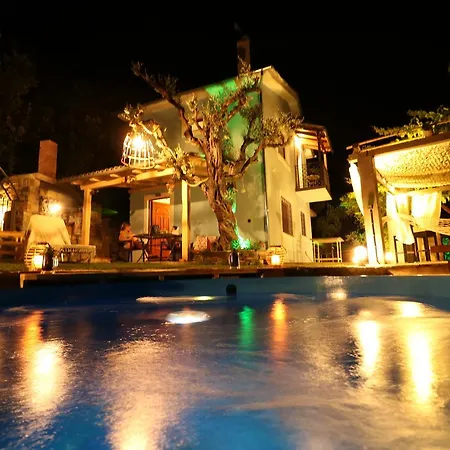 Fakistra's Blue House