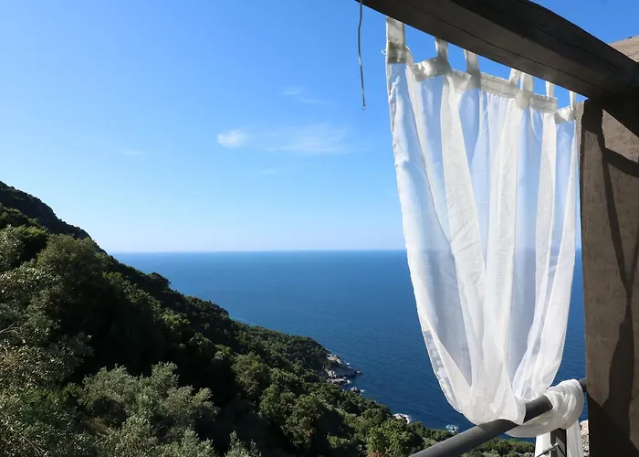 Fakistra's Blue House